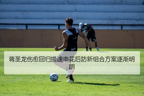 蒋圣龙伤愈回归提速申花后防新组合方案逐渐明朗（DEYINGSPORTS）